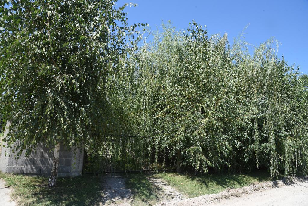 Holiday Home Kucica Na Drvetu Banja Koviljača Екстериор снимка